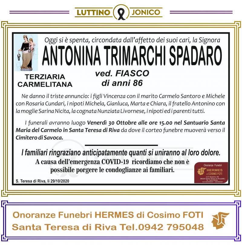 Antonina  Trimarchi Spadaro 